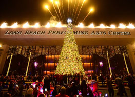 Start the Holiday Season Off Right with a Firework Show!