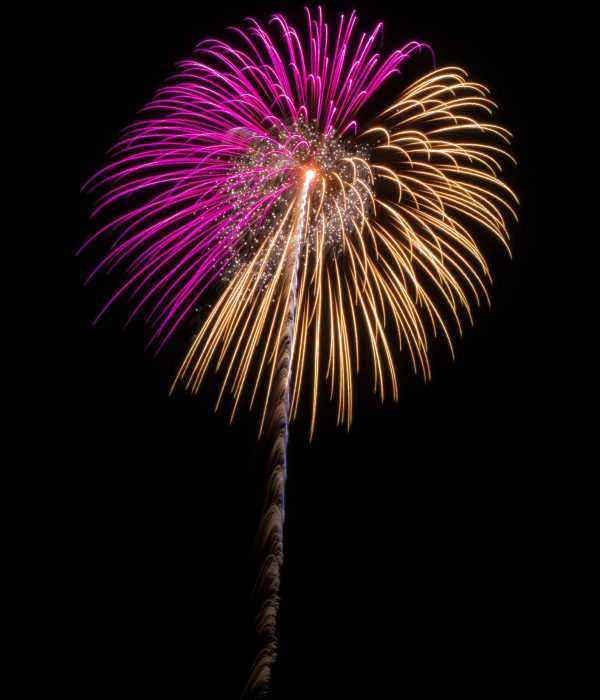 fireworks-lemon-magenta-superJumbo fireworks-lemon-magenta-superJumbo